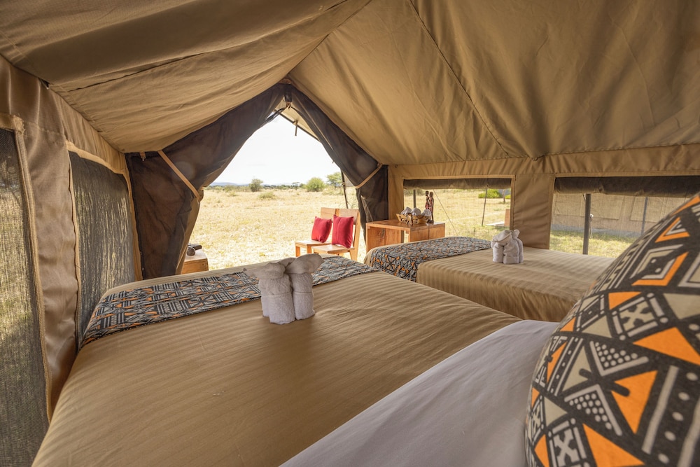 Basic Tent, Patio, Garden View