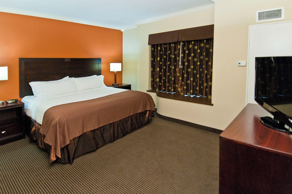 Room, 1 King Bed, Accessible, Non Smoking (Mobility/Hearing Tub w/Grab Bars) photo 2