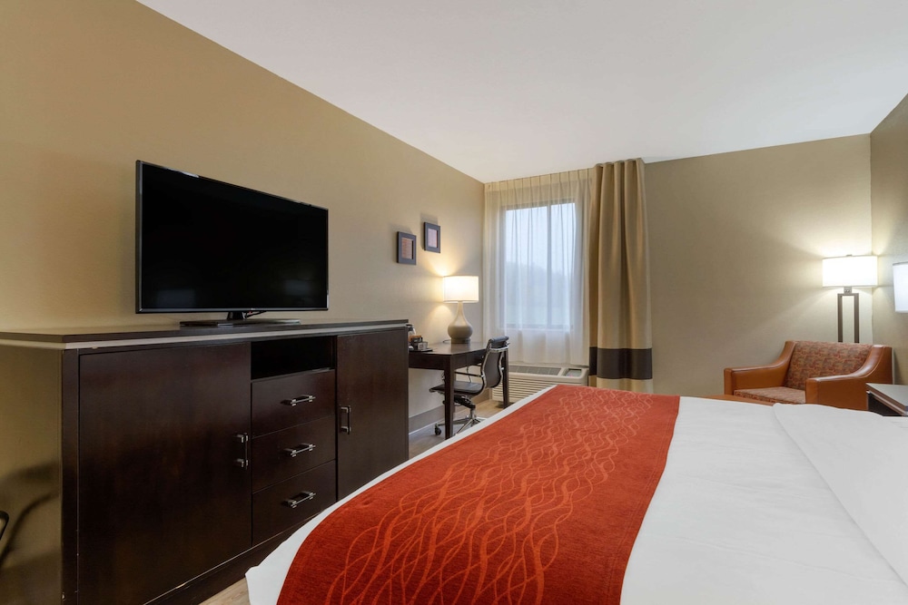 Standard Room, 1 King Bed, Non Smoking - Photo 10