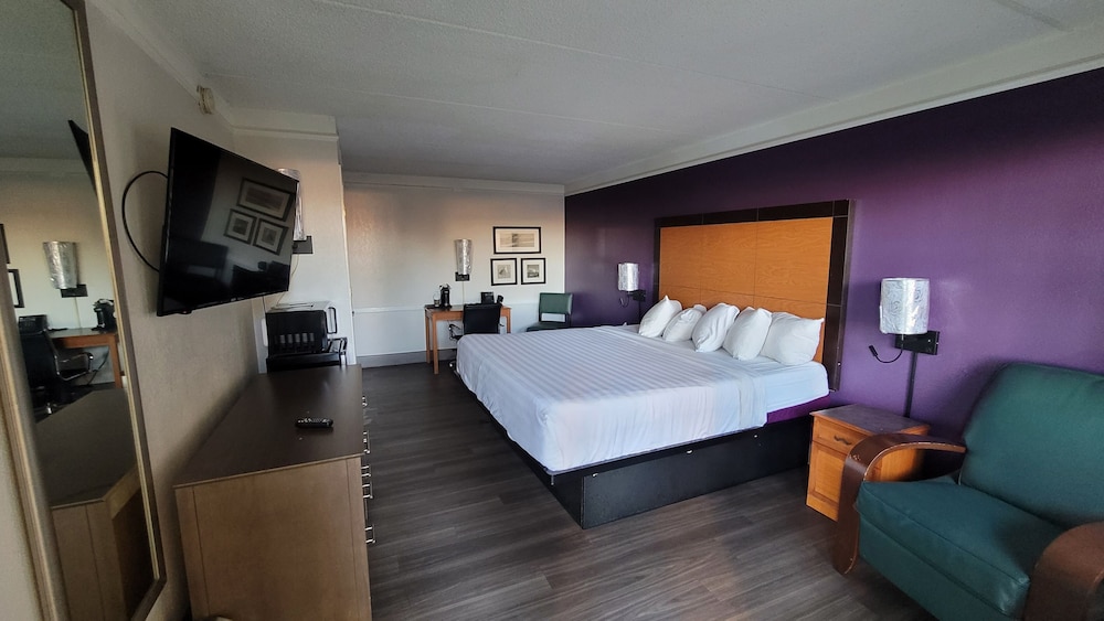 Executive Single Room photo 1