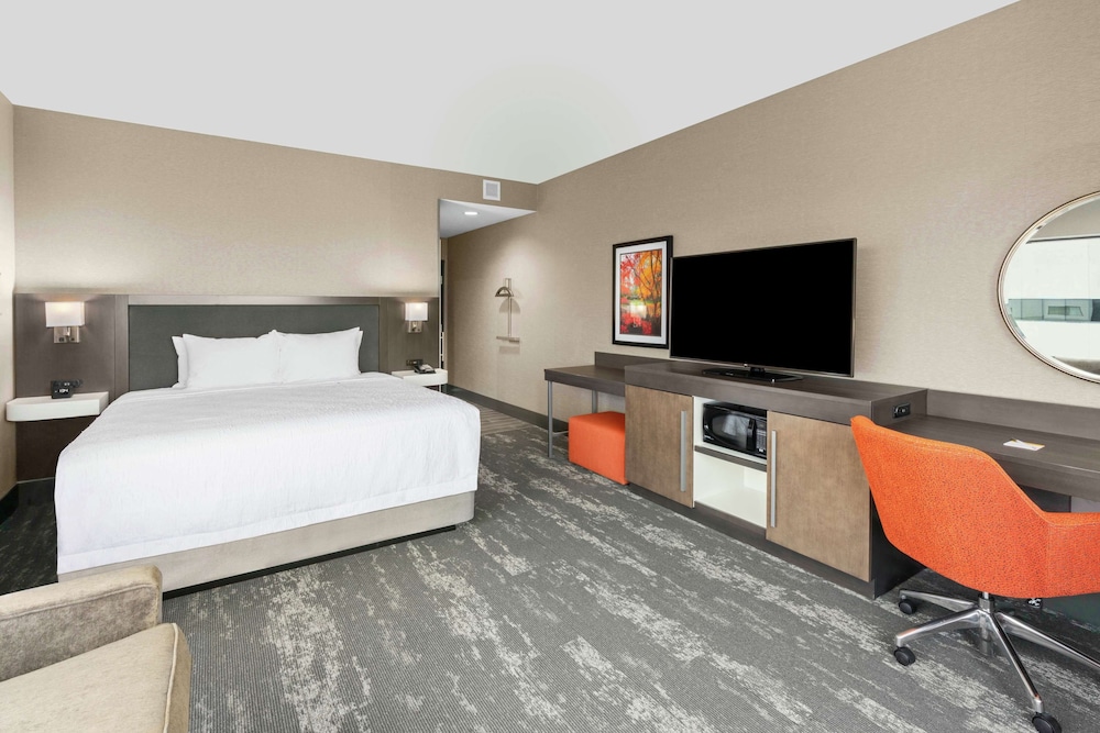 Room, 1 King Bed with Sofa bed, City View