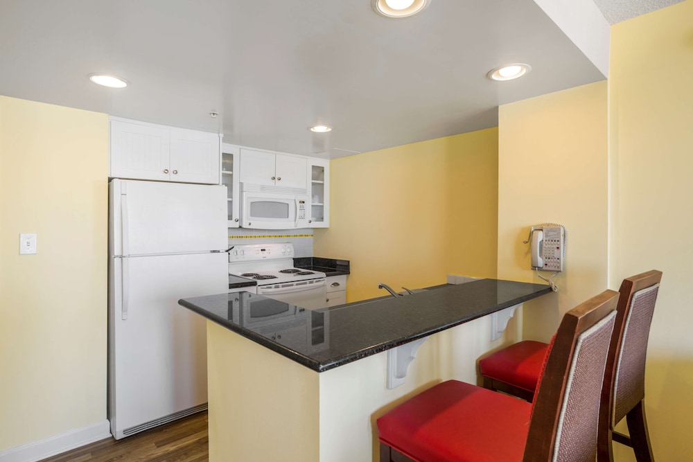 Suite, 1 Bedroom - Photo 7
