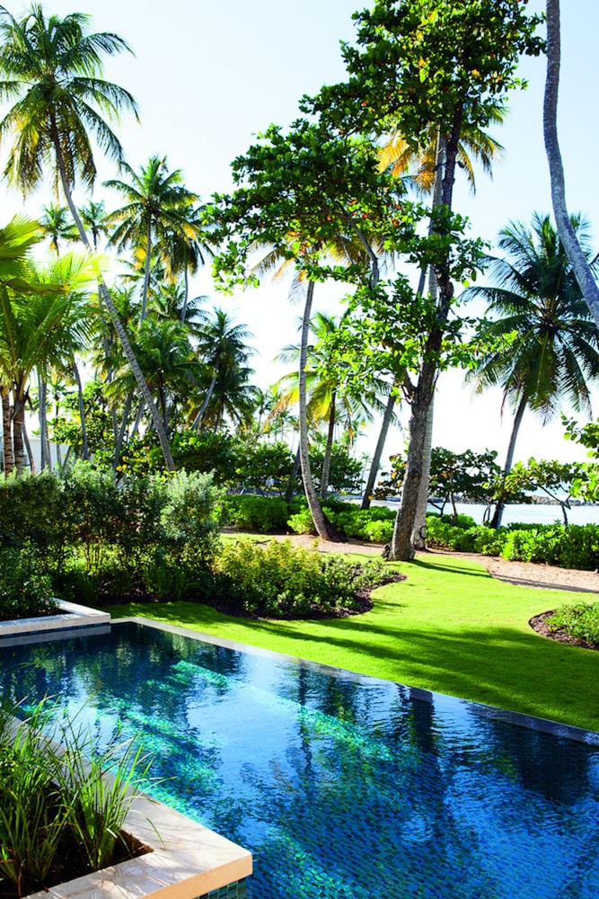 Room, Multiple Beds, Beachfront (Mobility/Hearing Access, Roll-In Shwr)