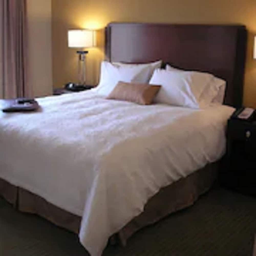 Studio Suite, 1 King Bed, Refrigerator & Microwave - Photo 2