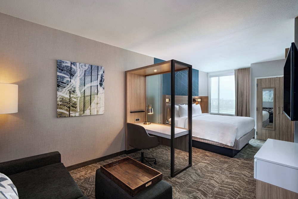 Suite, 1 King Bed with Sofa bed