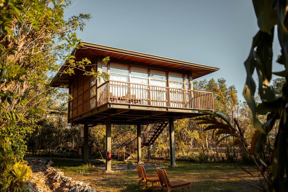 Tree House (Studio) - Photo 2