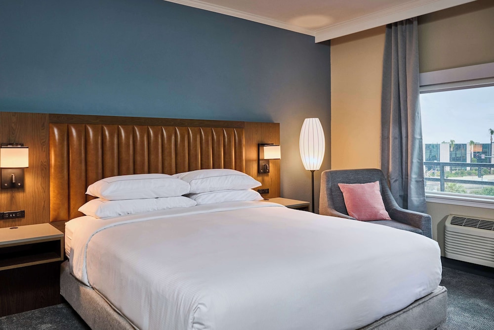 Suite, 1 King Bed - Photo 1