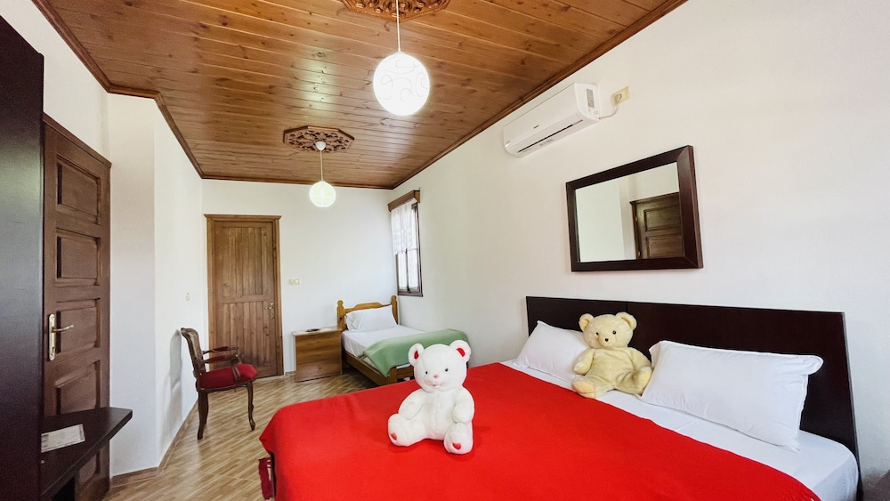 Family Double Room Single Use, Mountain View