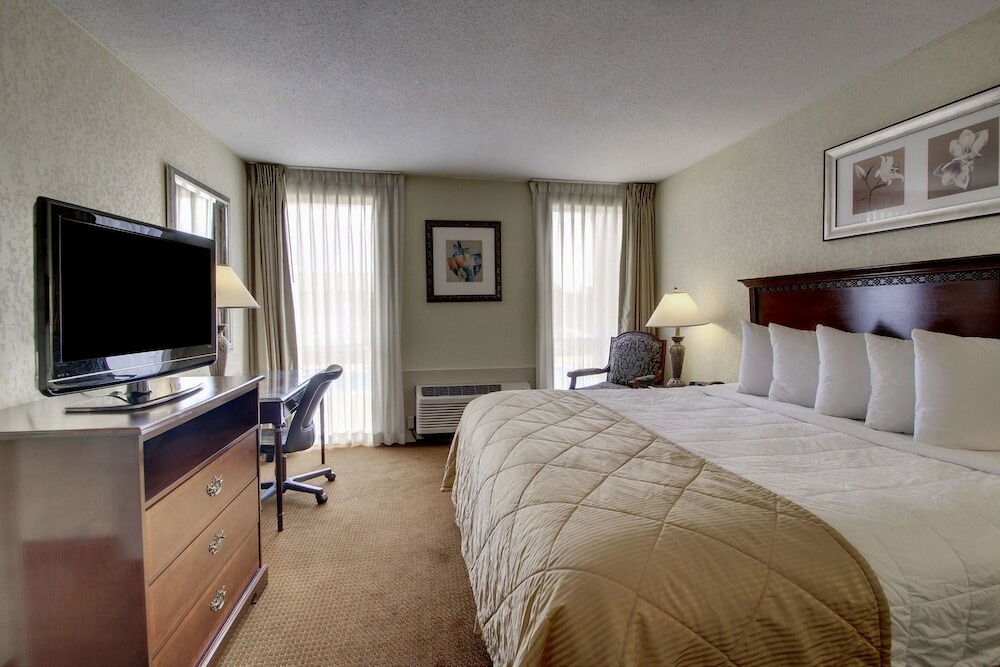 Deluxe Single Room photo 3