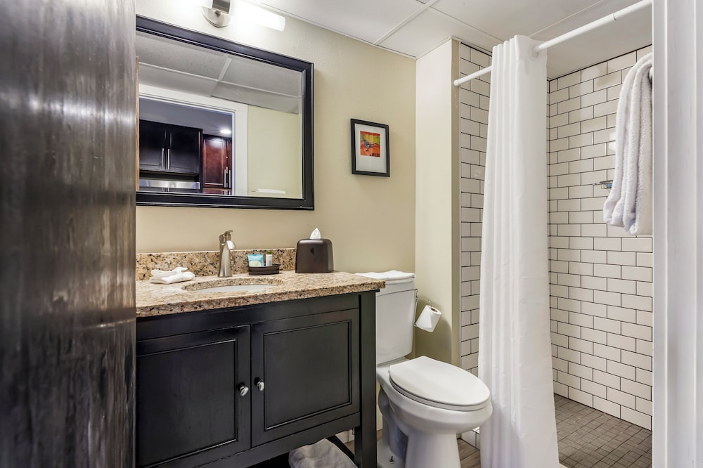 Suite, 1 Bedroom, Kitchenette photo 3