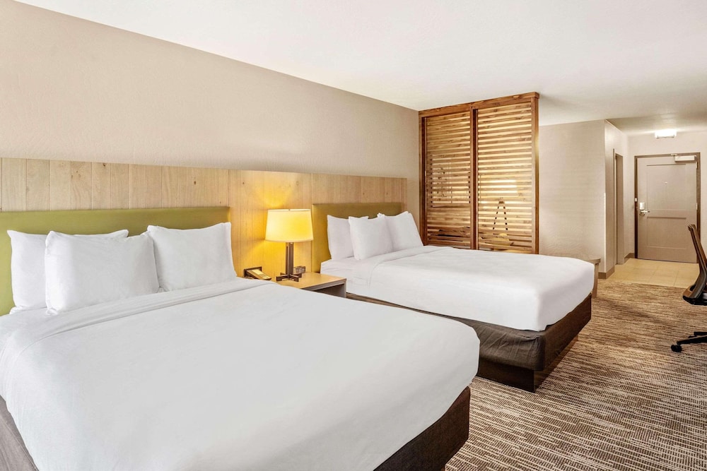 Studio Suite, Multiple Beds, Non Smoking - Photo 1