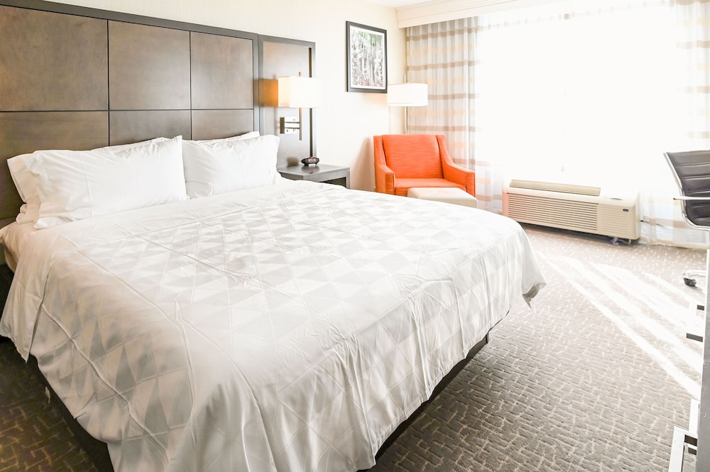 Standard Room, 1 King Bed (Walk-In Shower) - Photo 5