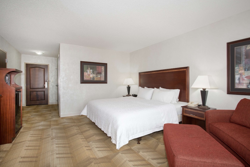 Suite, 1 King Bed, Accessible, Non Smoking - Photo 3