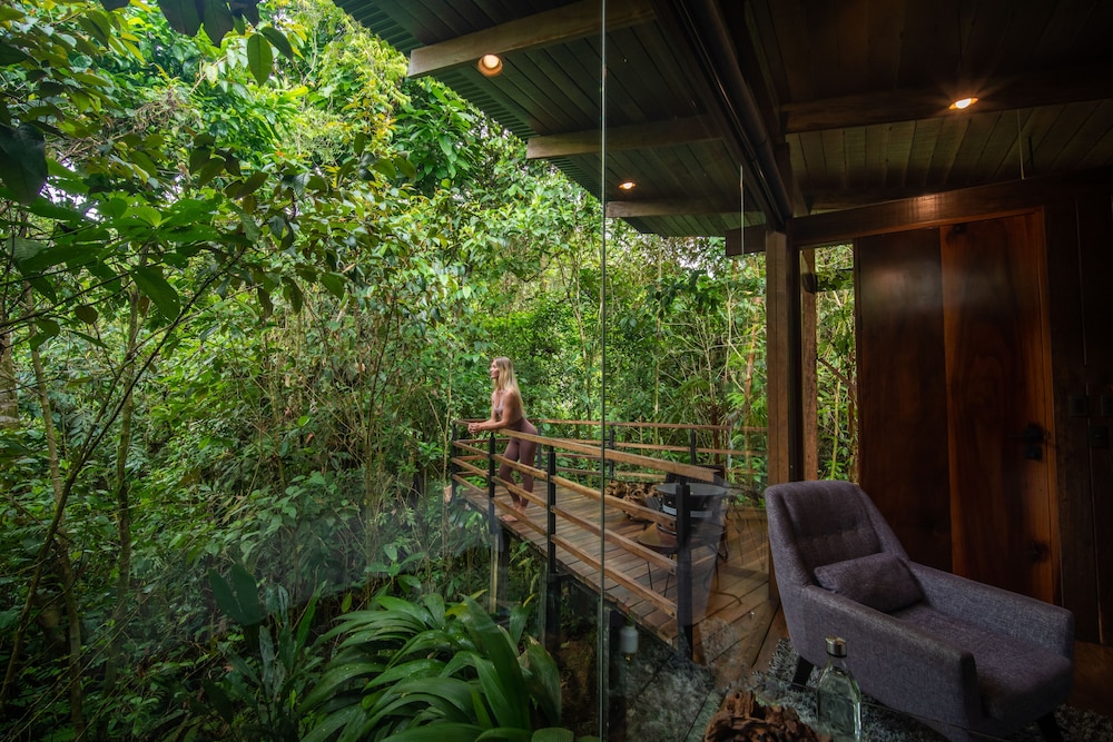 Jungle Suite photo 2