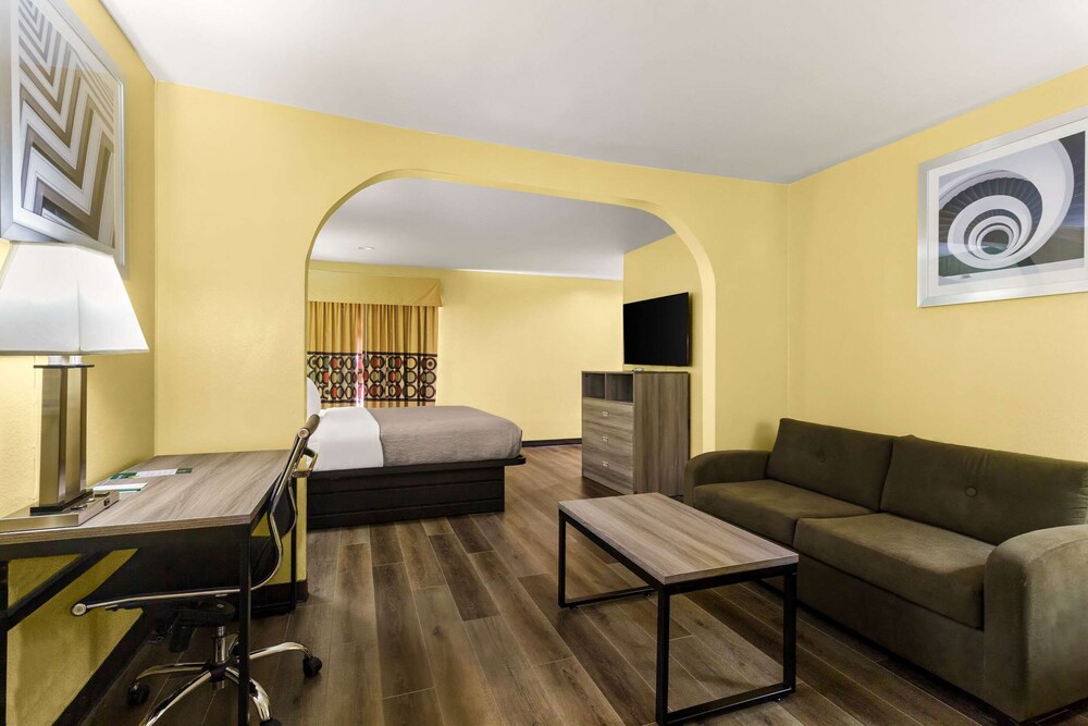 Standard Room, 1 King Bed, Non Smoking (Dog-Friendly) photo 1
