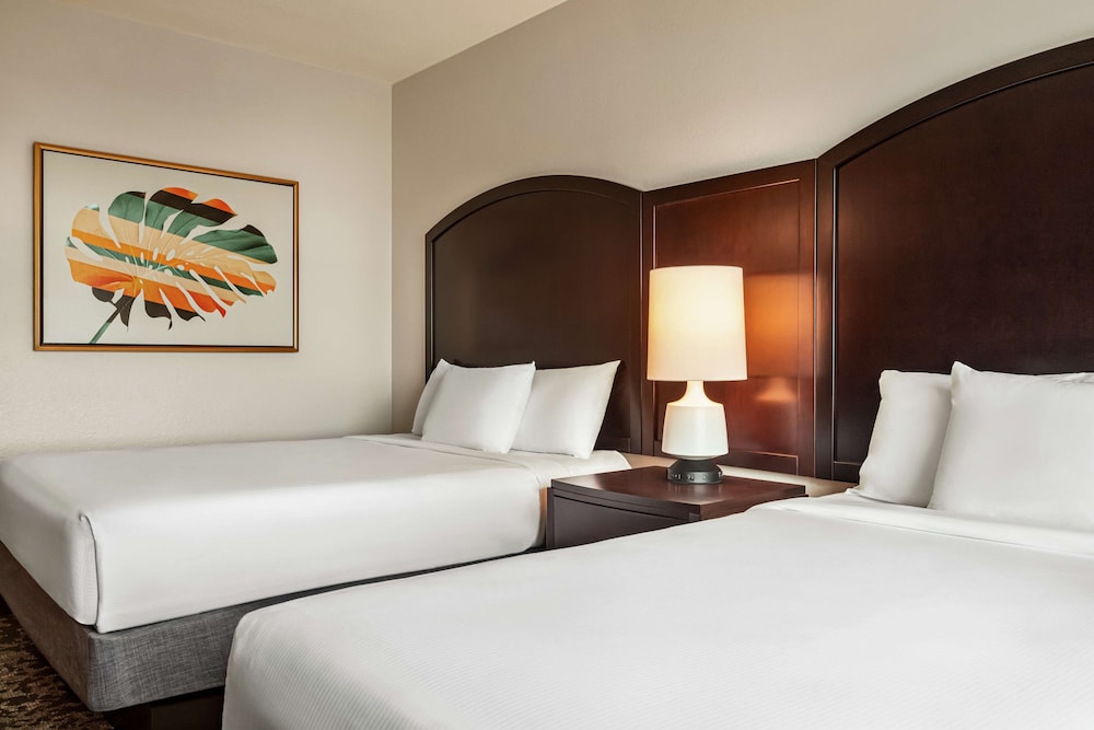 Premium Suite, 1 Bedroom, Accessible, Non Smoking (Roll-in Shower) - Photo 8