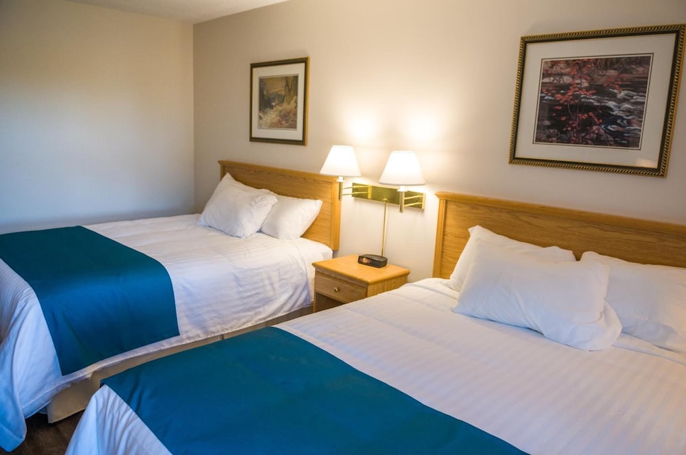 Comfort Room photo 3