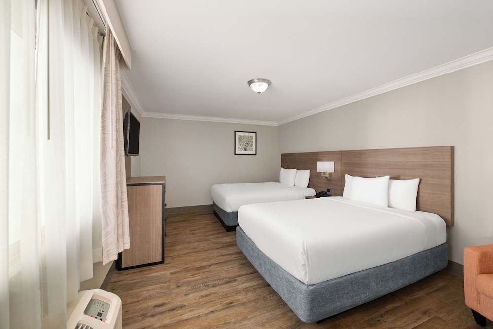 Suite, Multiple Beds, Non Smoking - Photo 3
