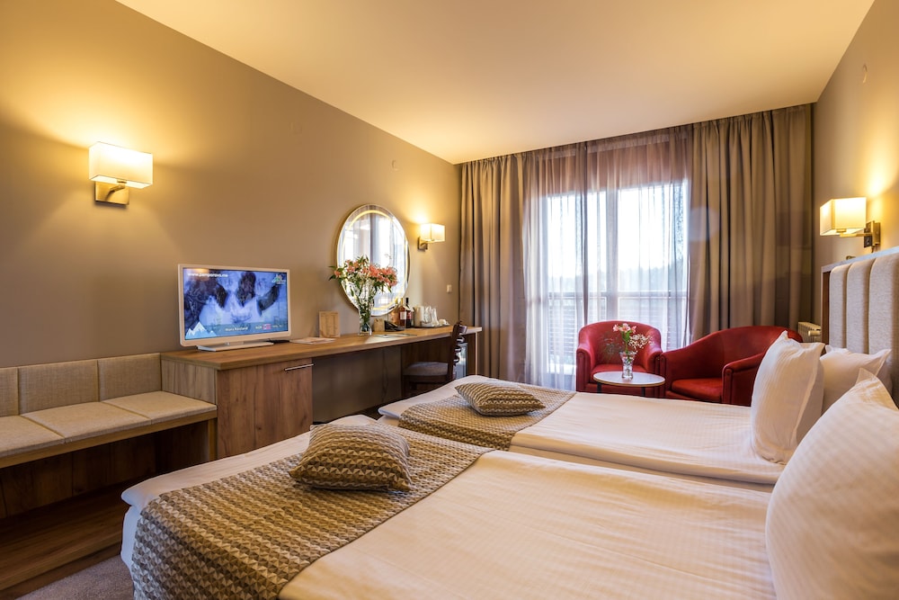 Double or Twin Room, Balcony, Mountain View photo 3