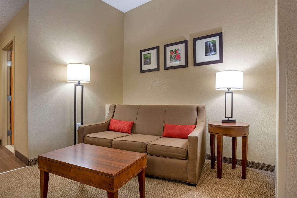 Suite, 1 King Bed, Non Smoking - Photo 2