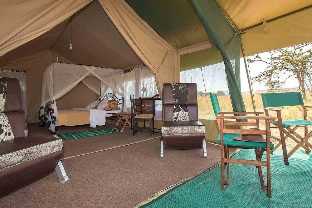 Basic Tent