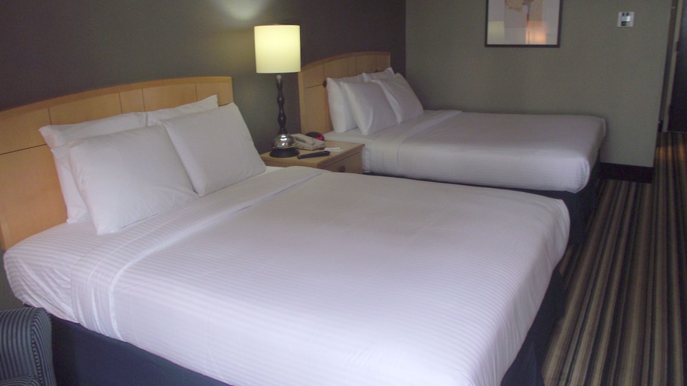 Room, Multiple Beds, Non Smoking photo 3