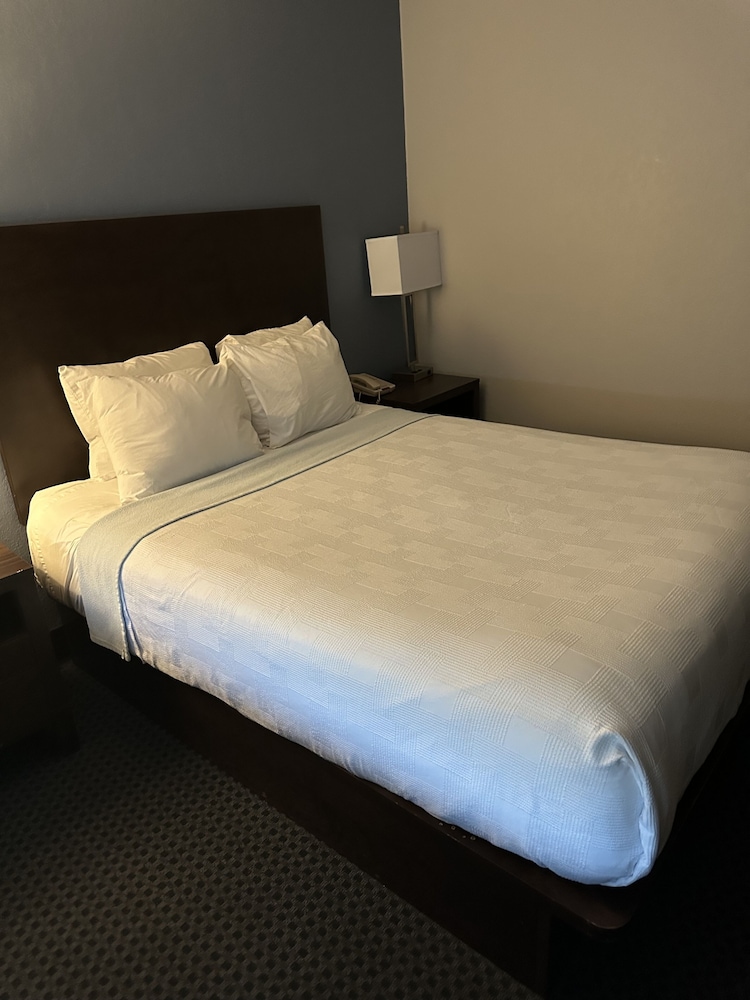 Economy Single Room photo 3