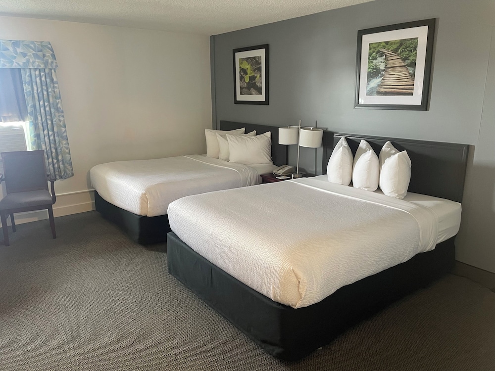Room, Multiple Beds, Non Smoking - Photo 2
