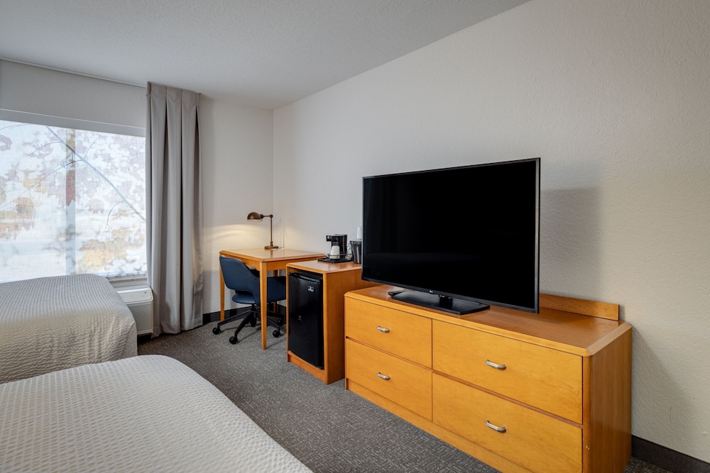 Room, 1 King Bed (Mobility/Hearing Access, Roll-In Shwr) - Photo 2