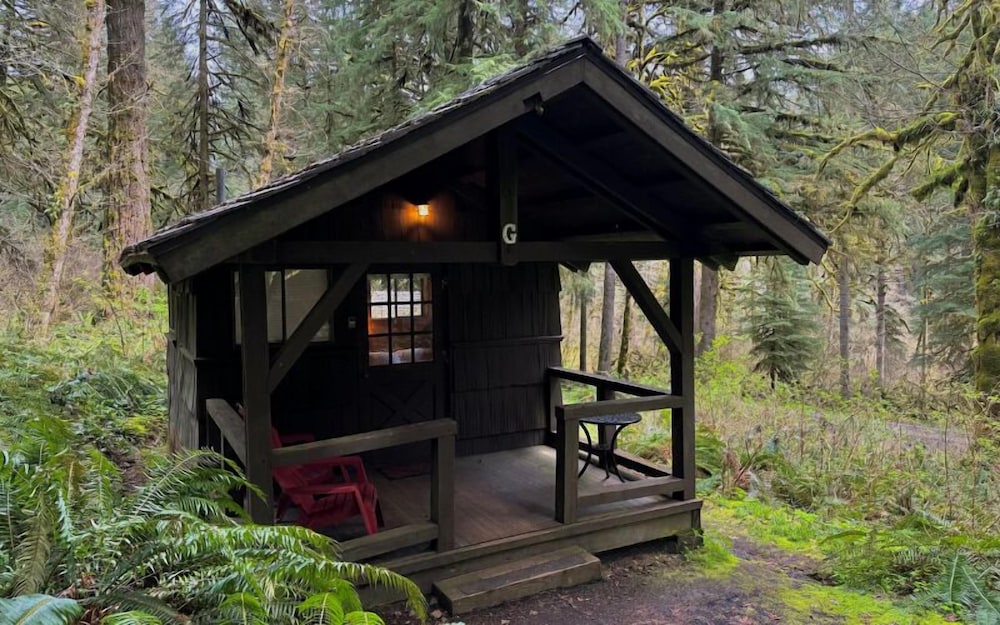 Tiny Cabin, Non Smoking photo 1