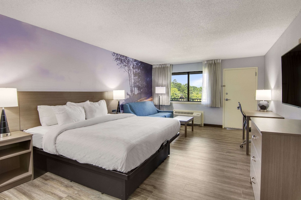 Standard Room, 1 King Bed with Sofa bed, Balcony, Lake View (Non Smoking) photo 1