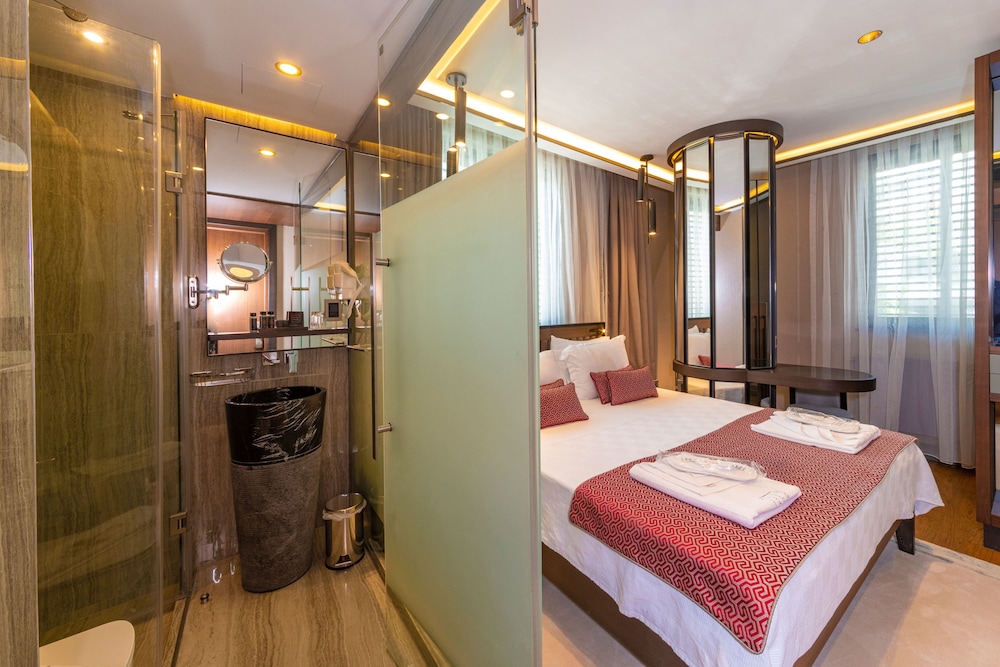 Deluxe Double or Twin Room photo 3