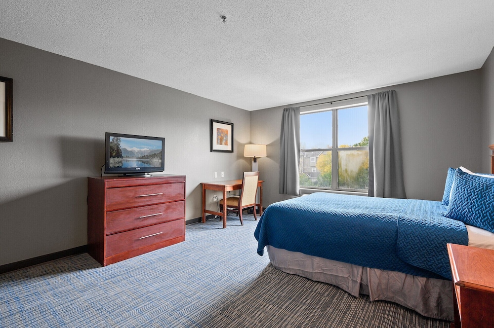Standard Studio, 1 King Bed, Accessible, Kitchen - Photo 1
