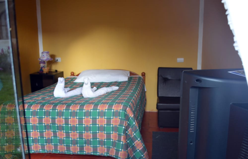 Single Room photo 1