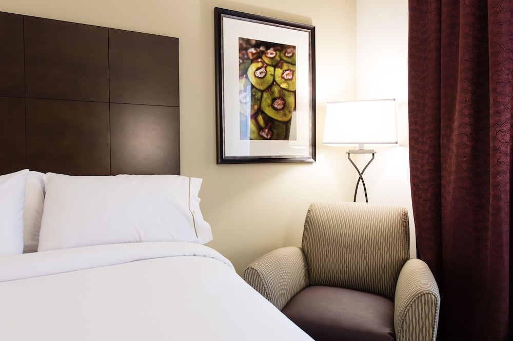 Suite, 1 King Bed with Sofa bed, Accessible (Communications) photo 1