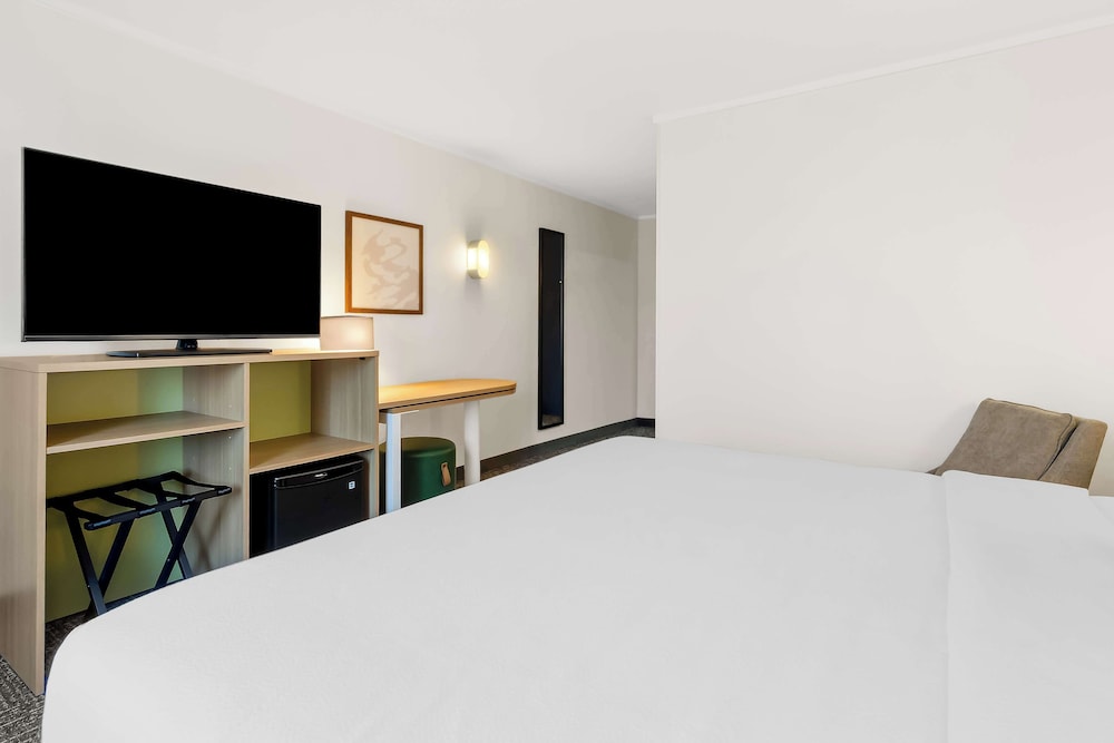 Room, 1 King Bed, Accessible (Roll-In Shower) photo 2