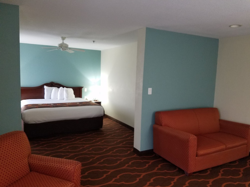 Suite, 1 King Bed, Non Smoking - Photo 9
