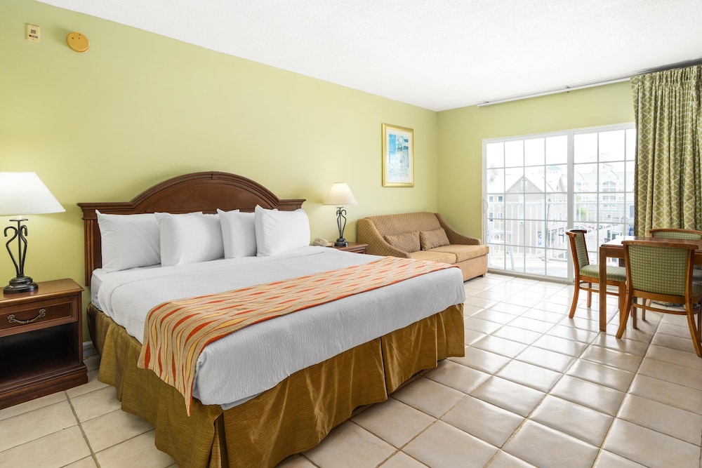 Suite, City View photo 1
