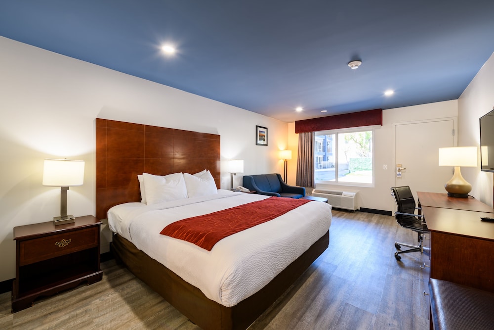 Standard Room, 1 King Bed, Non Smoking, Refrigerator & Microwave photo 1
