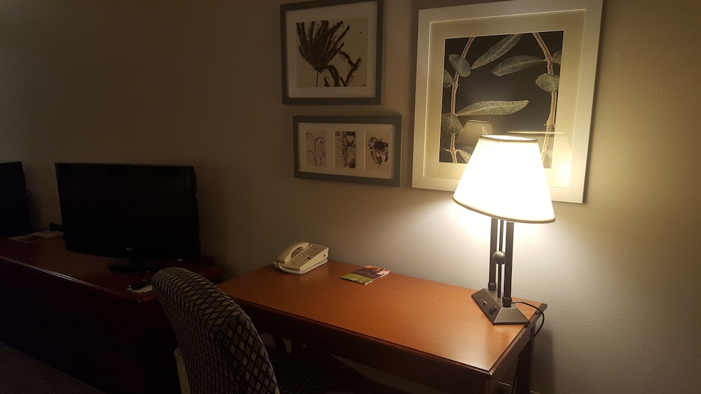 Studio Suite, 1 King Bed, Non Smoking - Photo 2