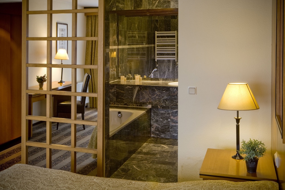 Deluxe Room - Photo 4