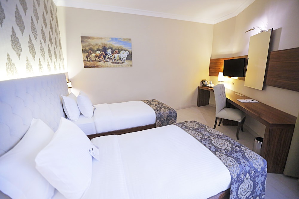Deluxe Double or Twin Room photo 1