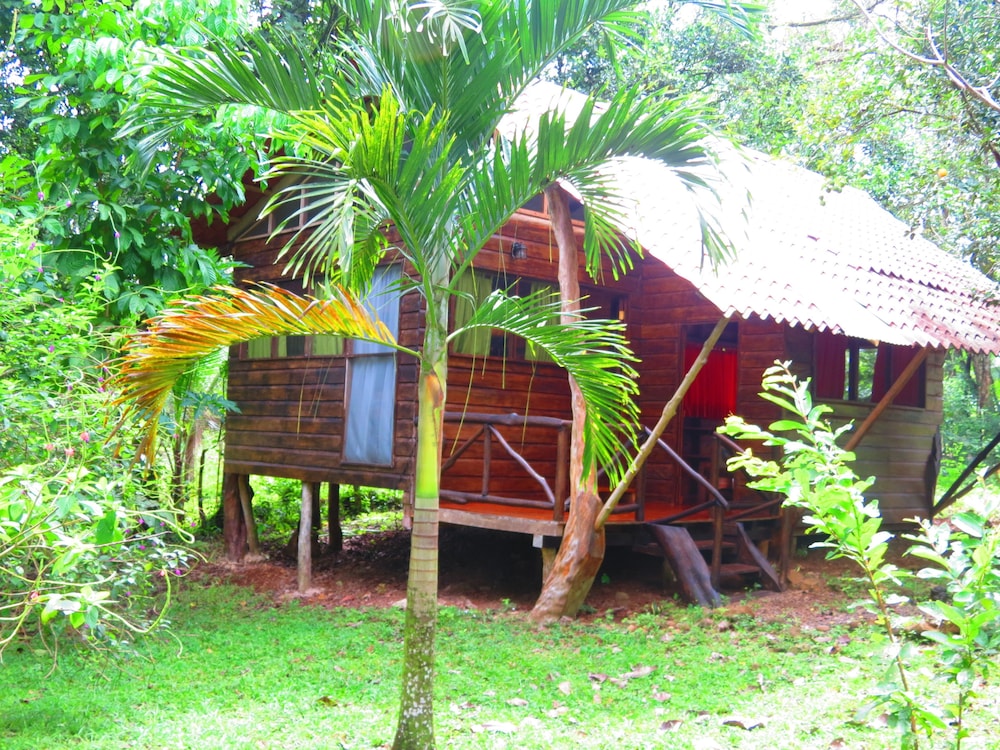 Basic Cabin, 2 Bedrooms, Private Bathroom, Courtyard View photo 3