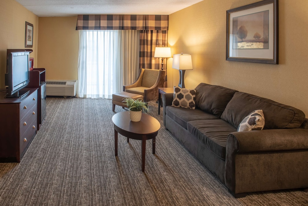 Business Suite, 1 King Bed with Sofa bed photo 2