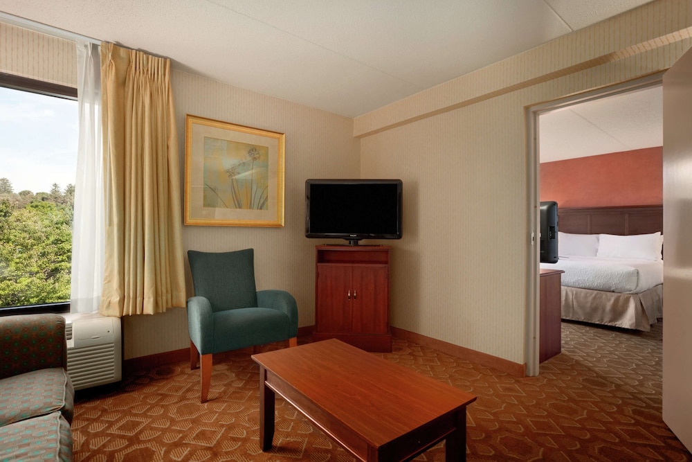 Suite, 1 Queen Bed, Accessible, Non Smoking photo 2