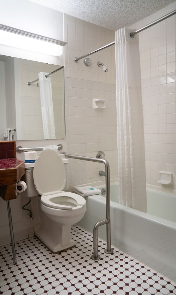 Basic Single Room photo 2