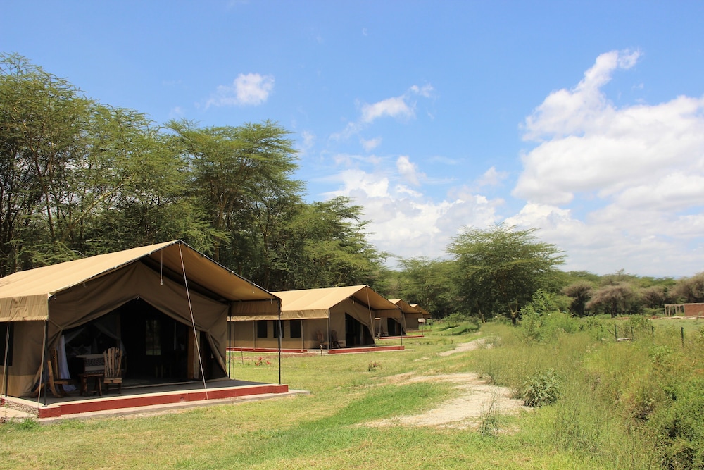 Safari Tent Comfort 1-4 pax photo 1