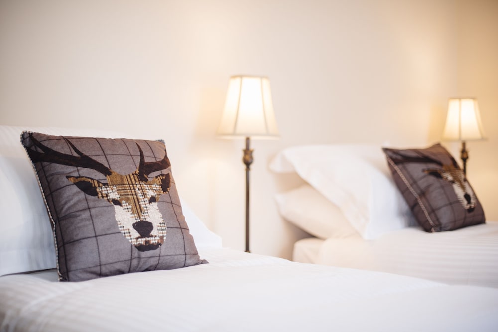 Deluxe Double or Twin Room photo 1