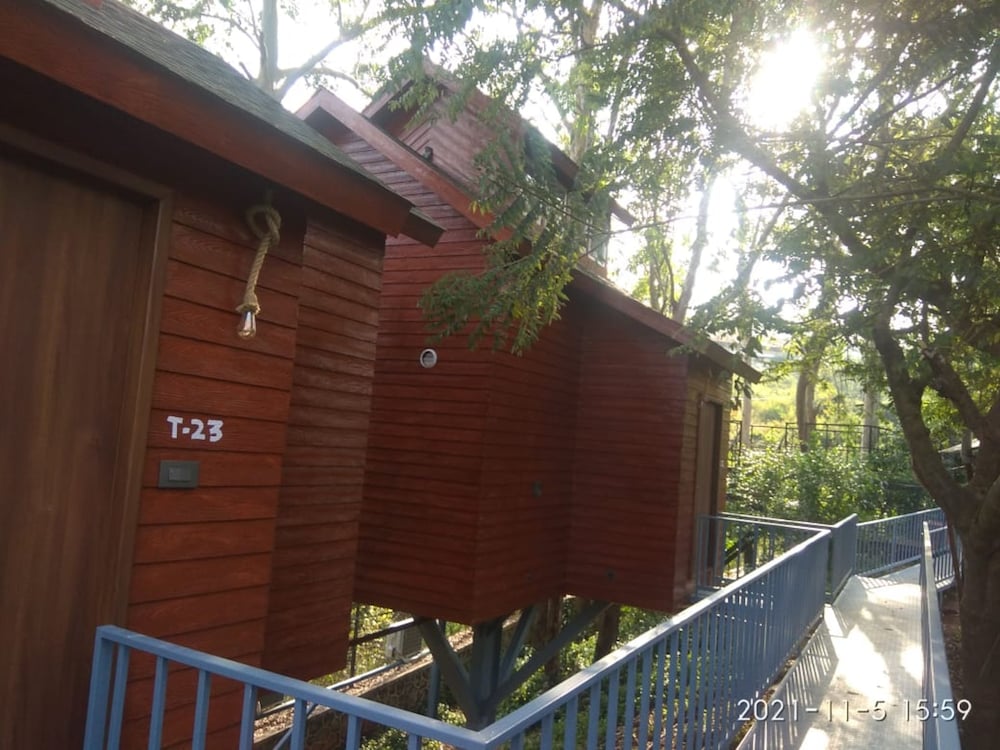 Basic Tree House photo 3