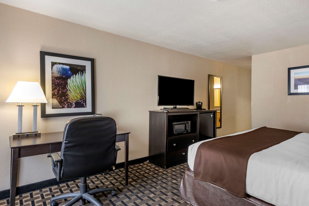 Suite, 1 Queen Bed, Kitchen - Photo 4